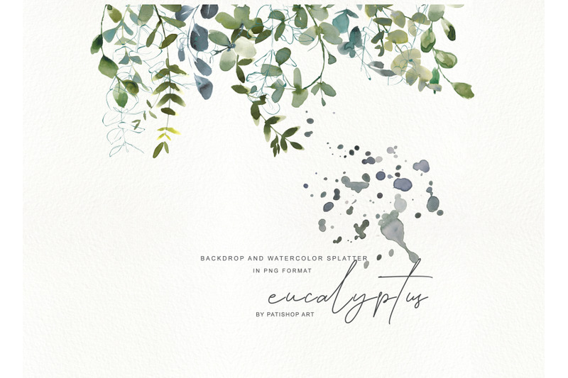 watercolor-eucalyptus-clipart-collection