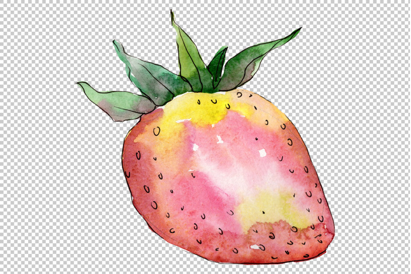 strawberry-quot-gigantella-quot-watercolor-png