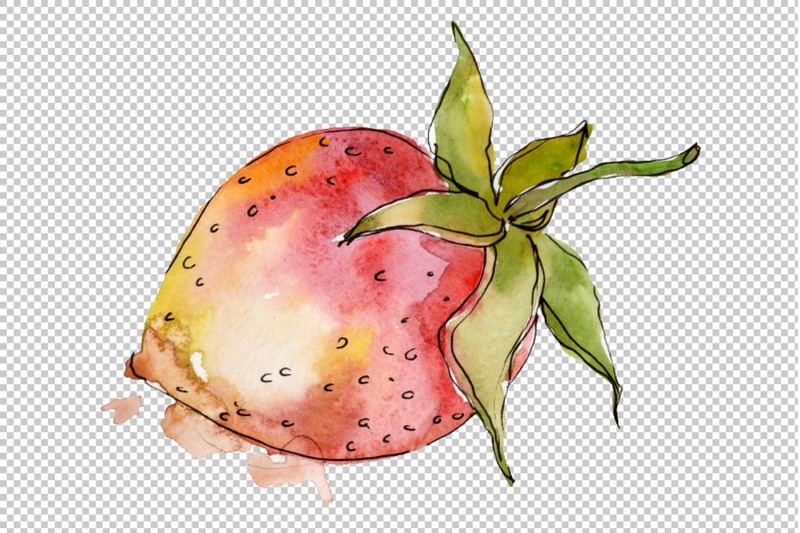 strawberry-quot-gigantella-quot-watercolor-png