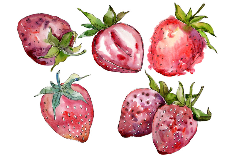 strawberry-cultivar-quot-malvina-quot-watercolor-png
