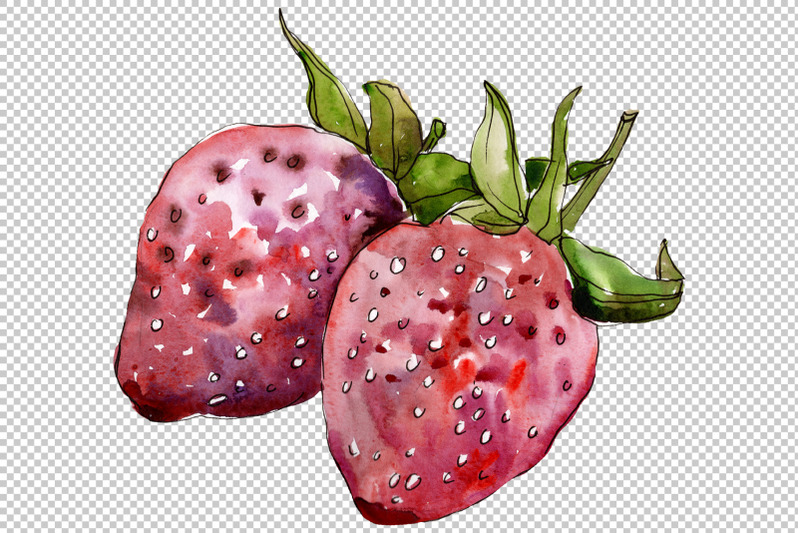 strawberry-cultivar-quot-malvina-quot-watercolor-png