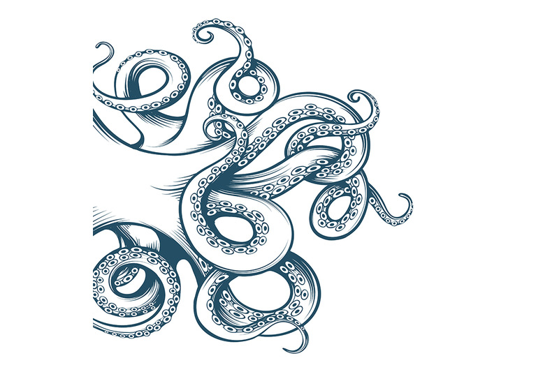 hand-drawn-octopus-tentacles