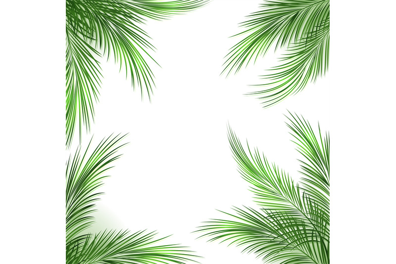 palm-leaves-frame