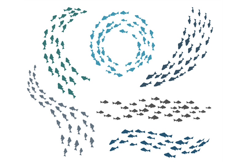 small-fish-groups