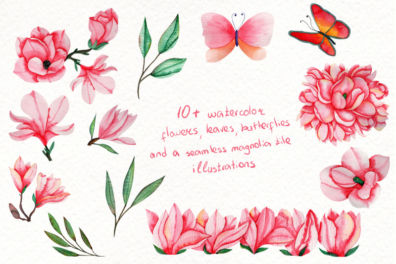magnolia-dream-watercolor-illustrations