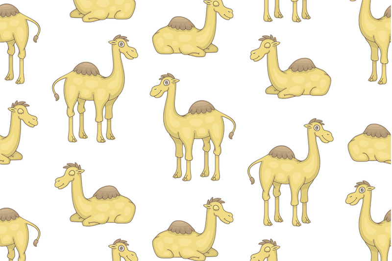 set-of-camels-and-pattern