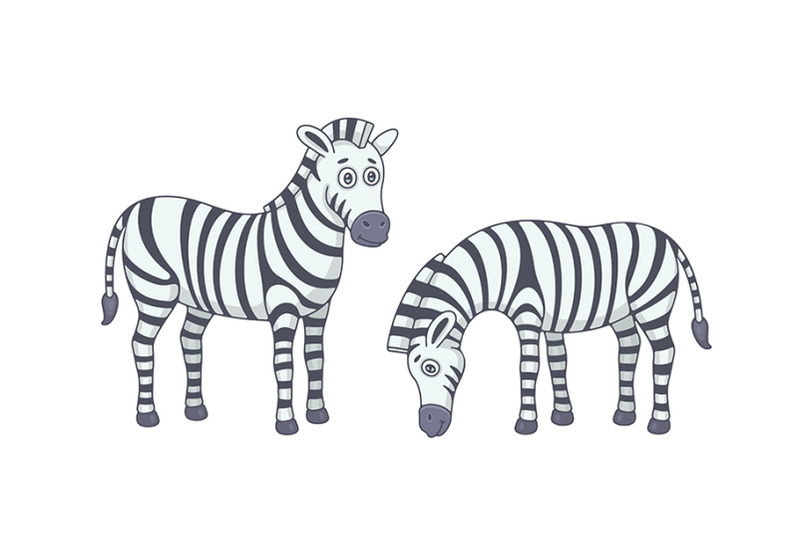 set-of-zebras-and-pattern