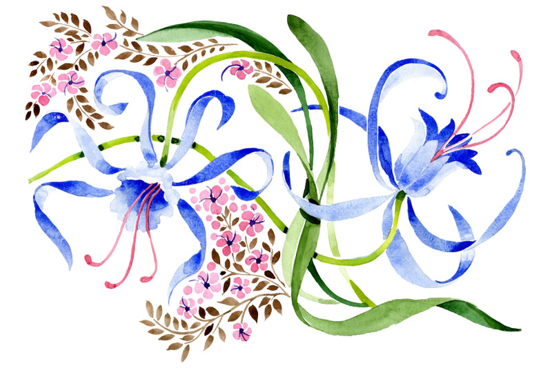 ornament-from-a-flower-plant-watercolor-png