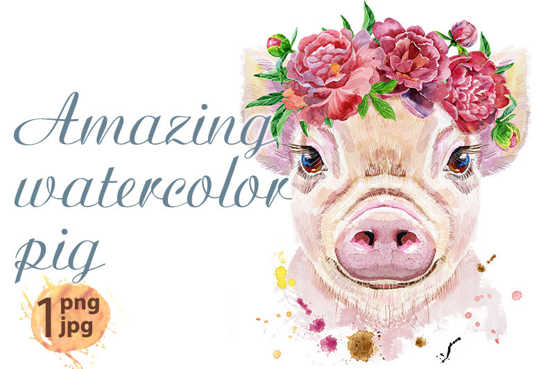 watercolor-portrait-of-pig