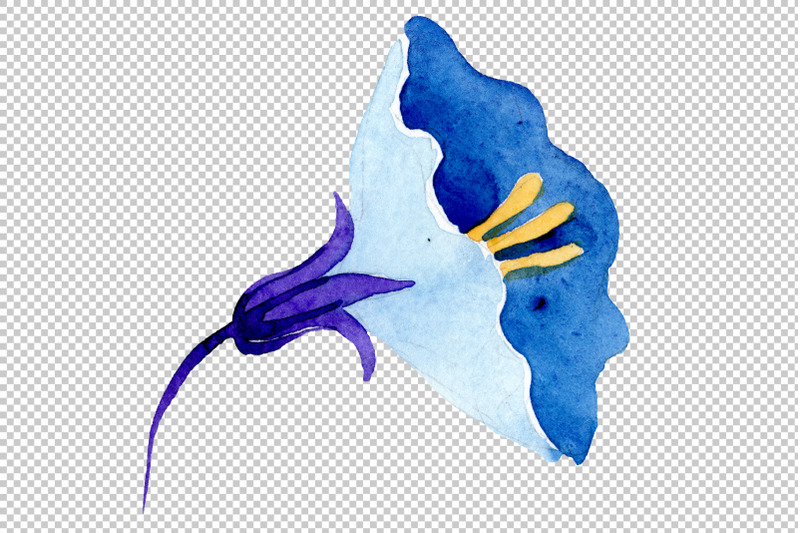ornament-floral-blue-watercolor-png