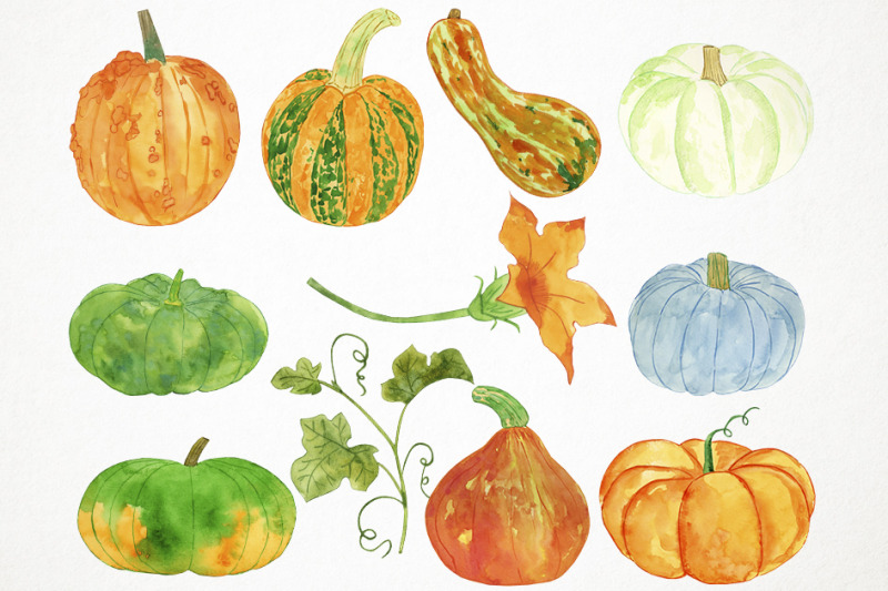watercolor-pumpkin-clipart-pumpkin-illustration