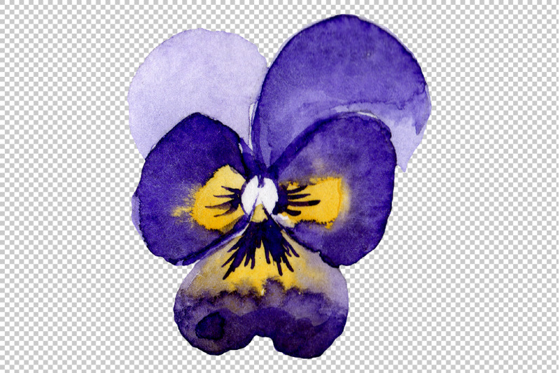 ornament-with-pansies-watercolor-png