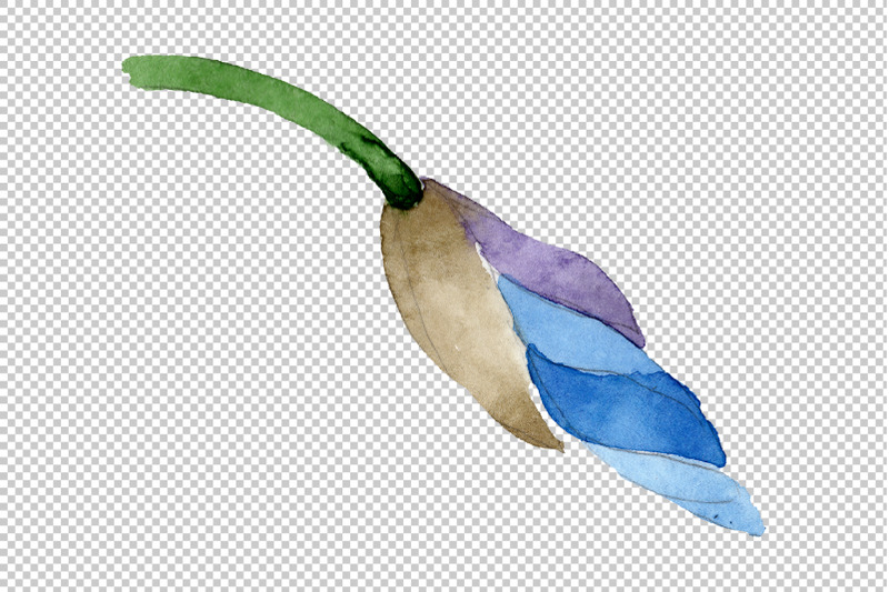 ornament-with-irises-watercolor-png