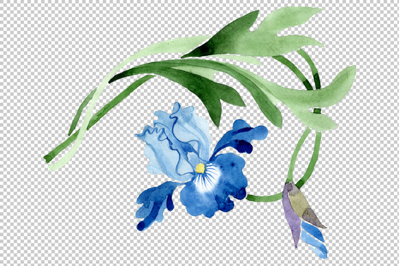 ornament-with-irises-watercolor-png