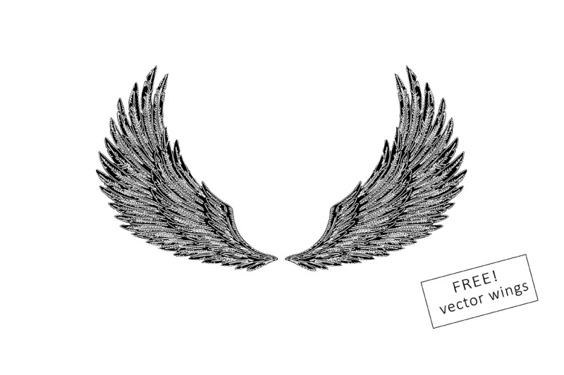 angel-signature-free-wings-vector