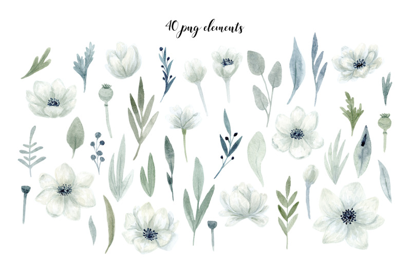 poppy-flowered-anemone-collection-patterns-cliparts-and-cards