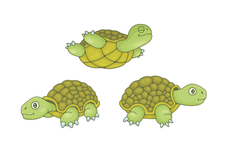 set-of-turtles-and-pattern