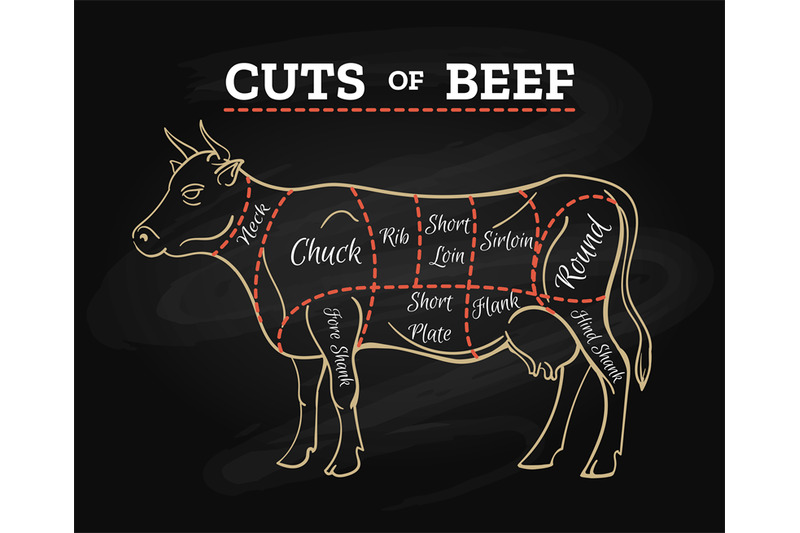 cow-butcher-cut-beef-chalkboard-scheme