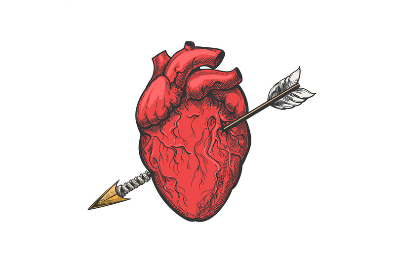 human-heart-with-arrow-tattoo-etching