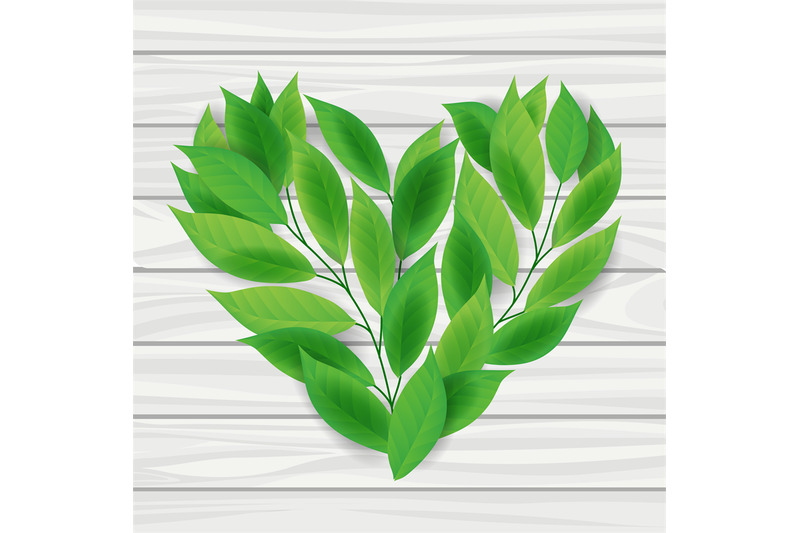 heart-from-green-leaves