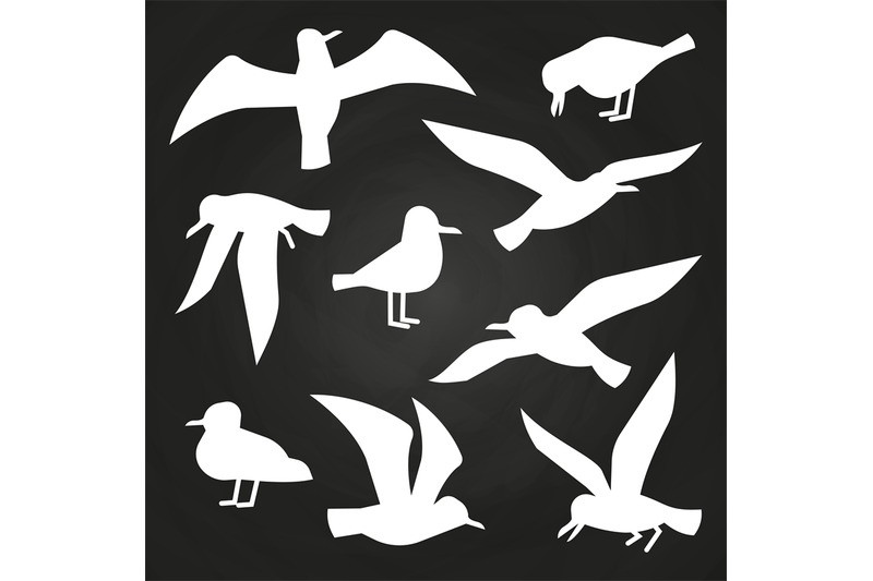 white-birds-silhuette-on-chalkboard-flying-seagulls-silhouettes