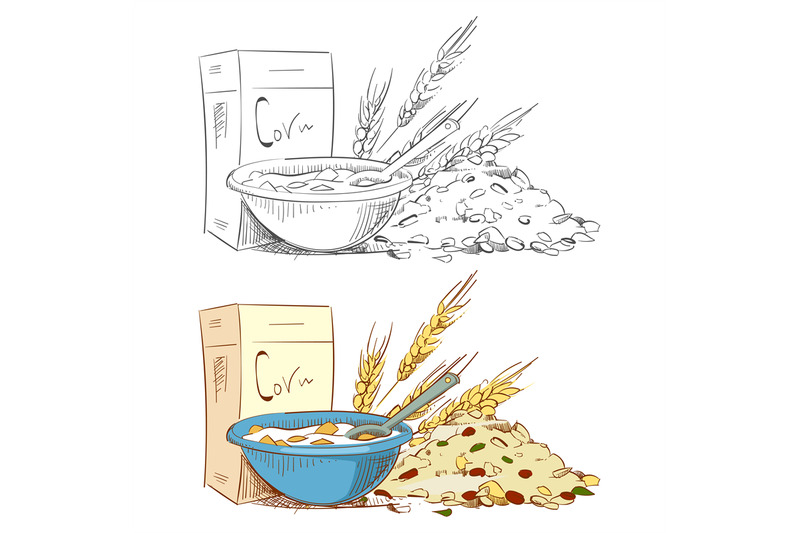 sketch-porridge-corn-flakes-and-muesli-isolated-on-white-background