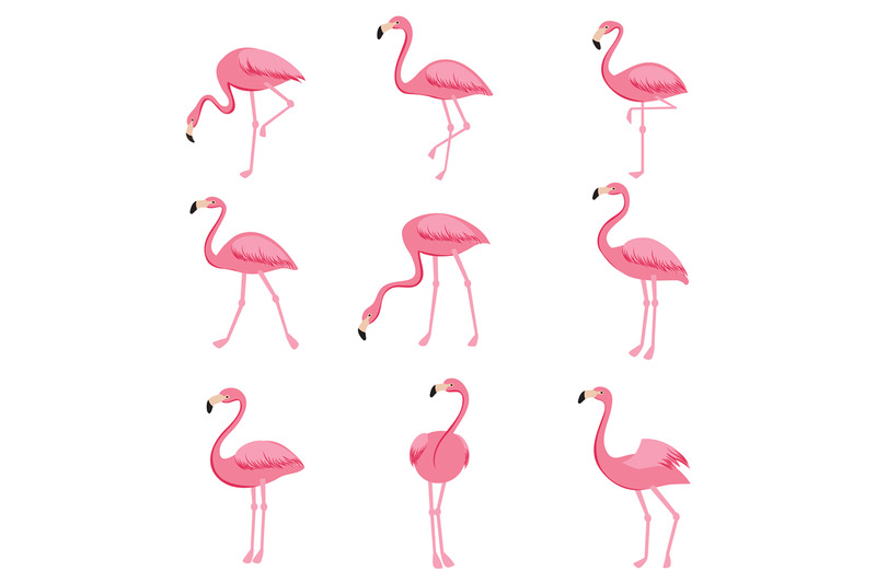 cartoon-pink-flamingo-vector-set-cute-flamingos-collection