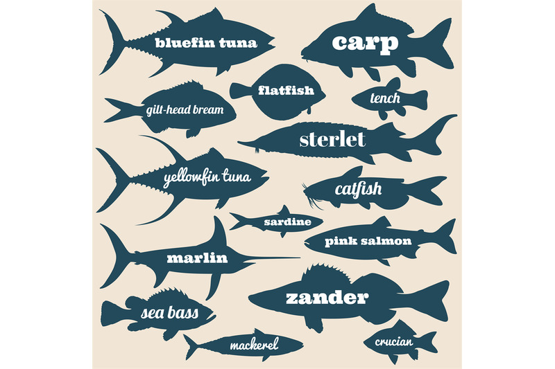 ocean-fish-vector-silhouettes-with-names-isolated-on-white-background