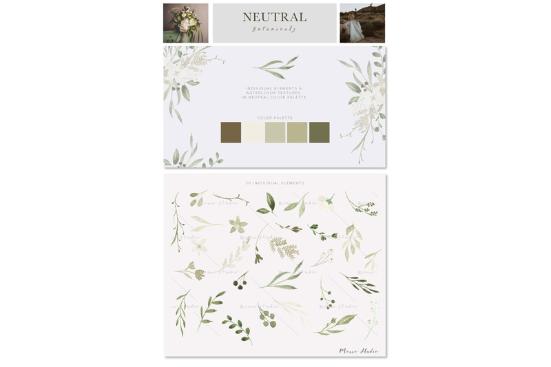 neutral-botanicals-florals-amp-leaves