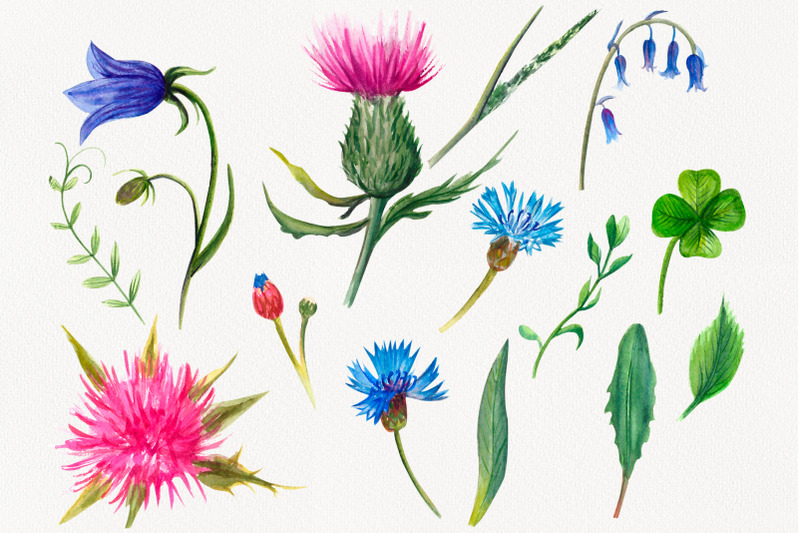 wildflowers-and-herbs