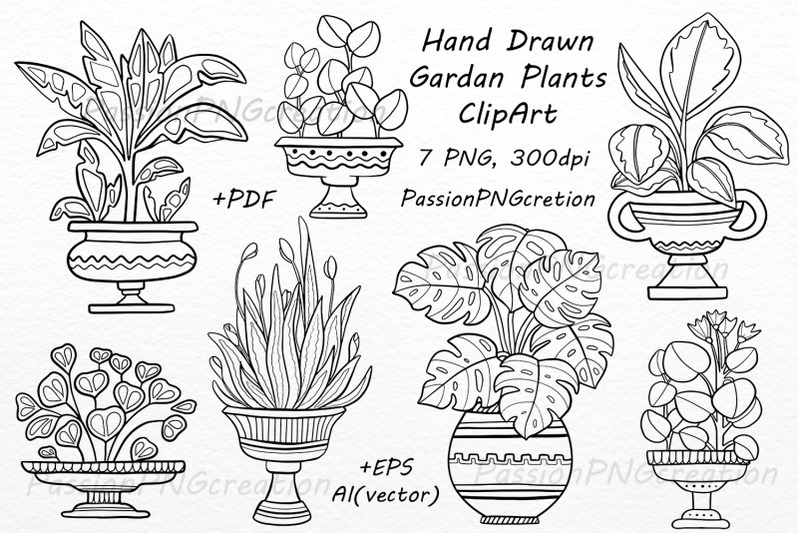 hand-drawn-garden-plants-clipart