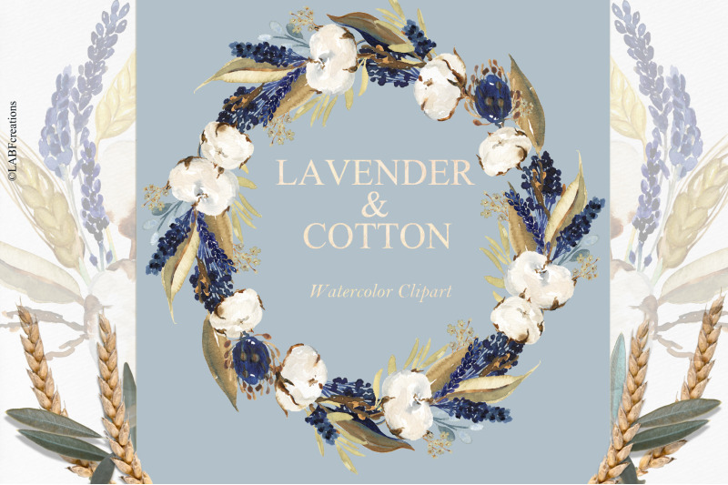 lavender-amp-cotton-watertcolor-clipart