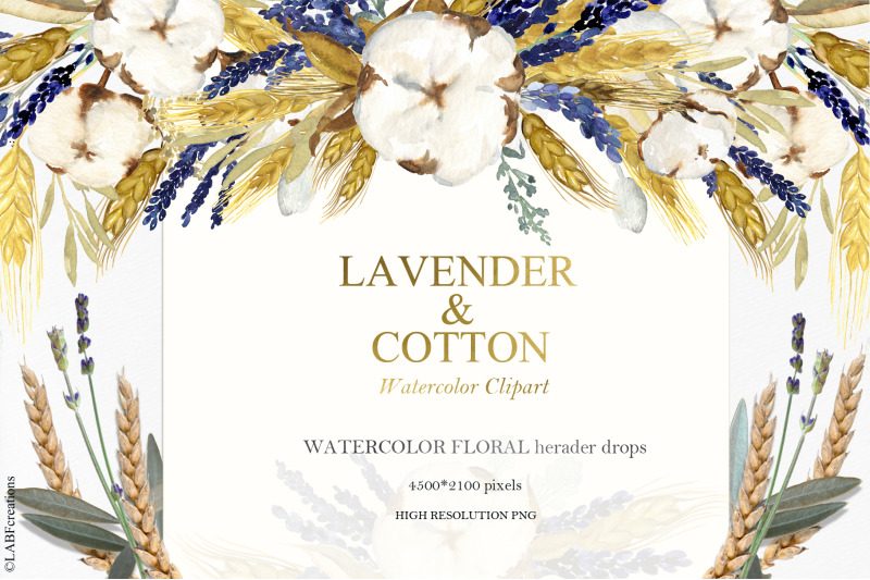 lavender-amp-cotton-watertcolor-clipart