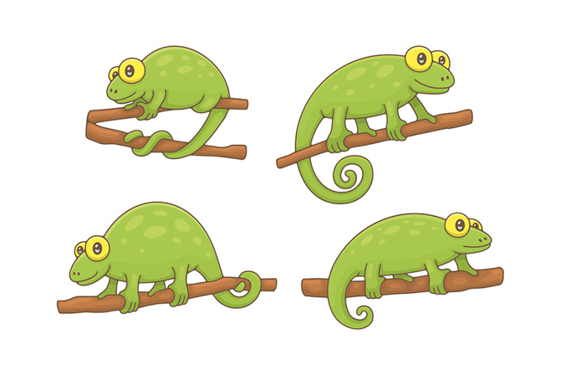 set-of-chameleons-and-pattern