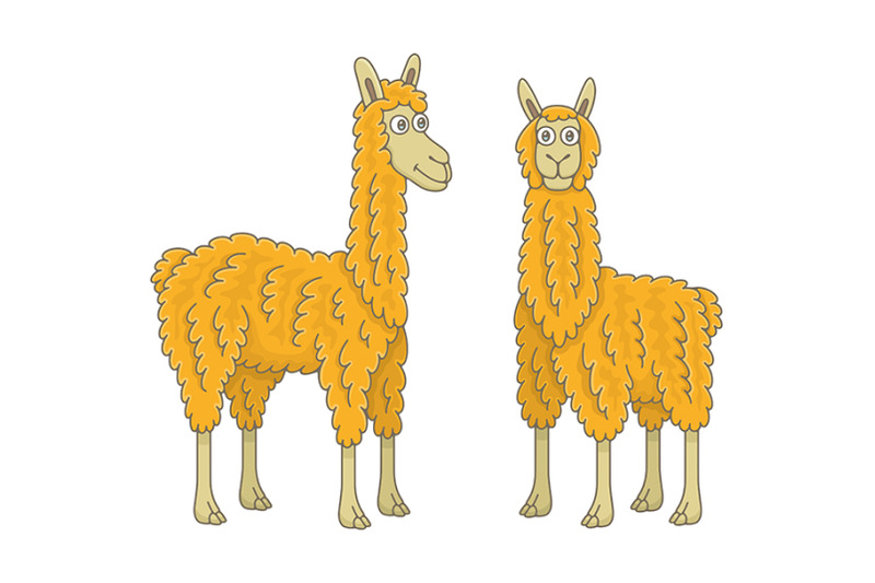 set-of-llamas-and-pattern