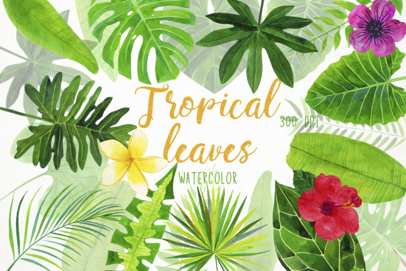 watercolor-tropical-leaves-clipart-tropical-leaves-illustration