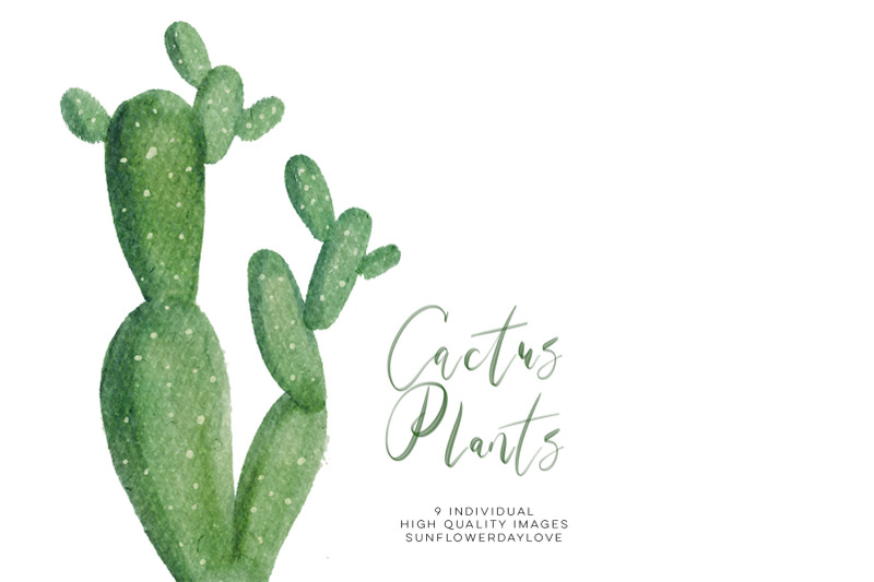 watercolor-cactus-plant-clipart-set-green-natural-botanical-clip-art