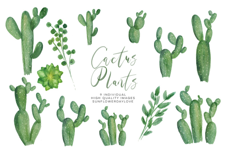 watercolor-cactus-plant-clipart-set-green-natural-botanical-clip-art