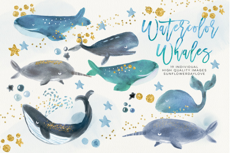 whale-watercolour-clip-arts-whale-clipart-marine-mammals-clip-art
