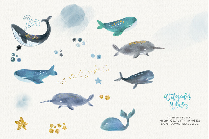 whale-watercolour-clip-arts-whale-clipart-marine-mammals-clip-art