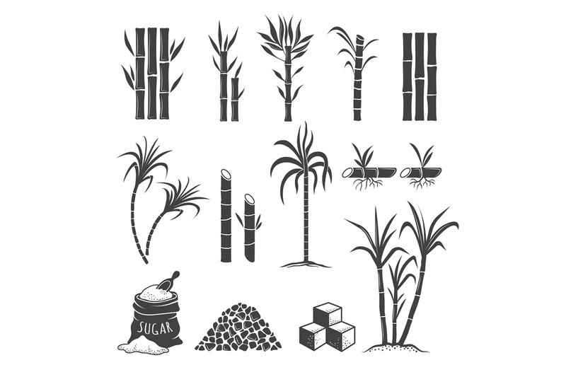 sugarcane-farm-symbols-sweets-field-plant-harvest-milling-vector-colo