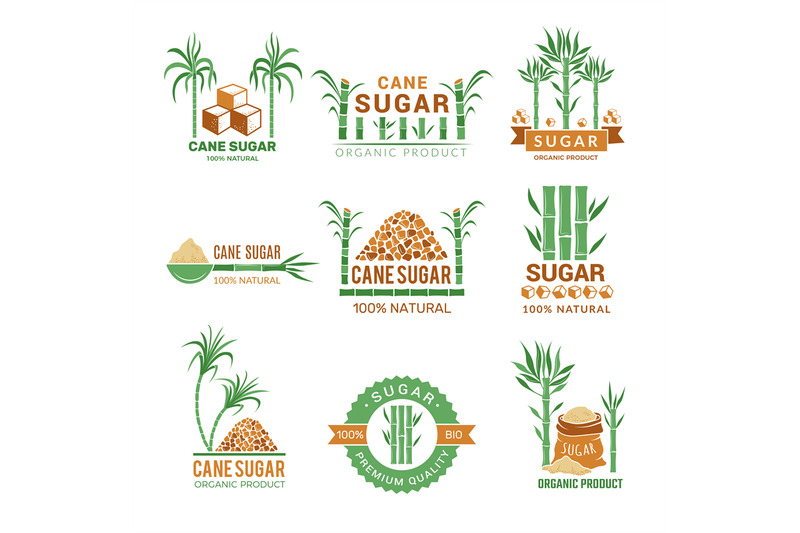 sugarcane-manufacturing-sweets-plants-production-farm-industry-leaf-v