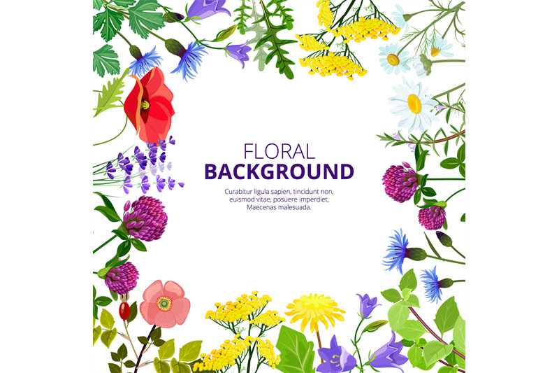 cosmetics-herbs-health-botanical-flowers-and-herbal-tea-beauty-medici