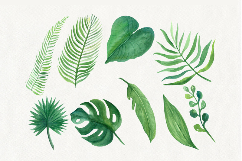 tropical-leaves