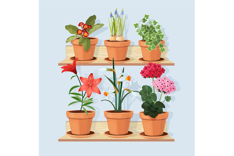flowers-at-shelves-decorative-tree-plants-grow-in-pots-and-standing-i