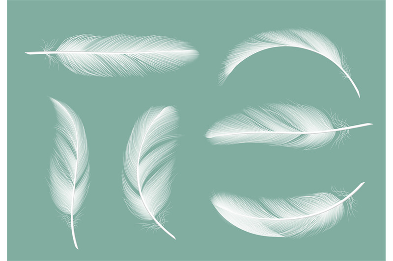 feathers-collection-flying-furry-of-goose-vector-realistic-pictures-i