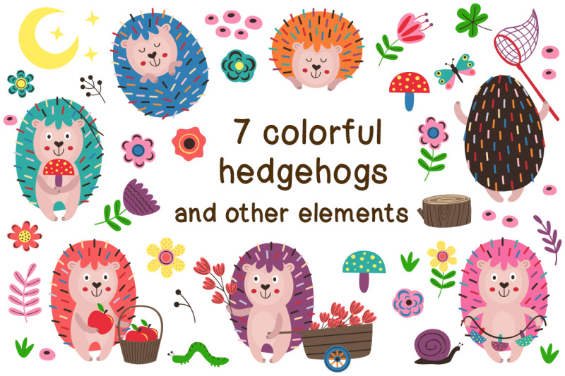 colorful-hedgehogs-collection