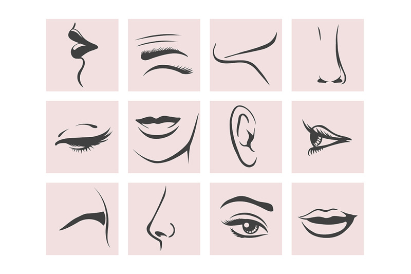 female-head-parts-set-in-contour-style-vector-illustration