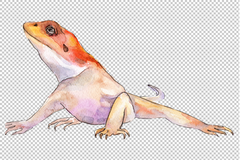 animal-iguaana-watercolor-png