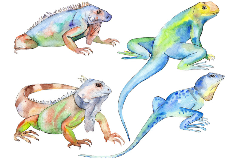 animal-world-iguaana-watercolor-png